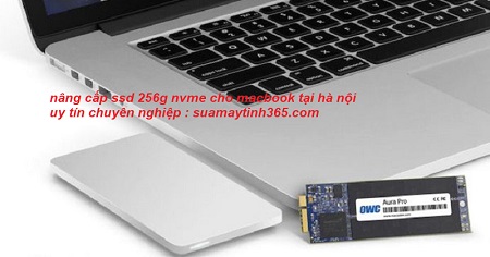 nâng cấp ssd 256g nvme cho macbook uy tín nâng cấp ssd 256g nvme cho macbook uy tín